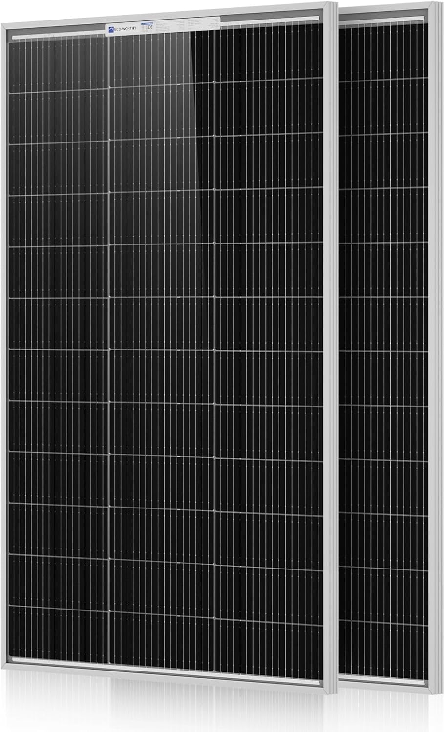 ECO-WORTHY 200W bifacial solar panel 2-pack product photo