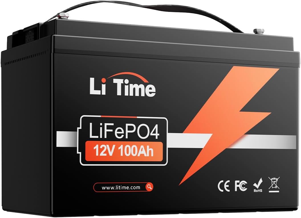 LiTime 12V 100Ah Group 31 real product photo