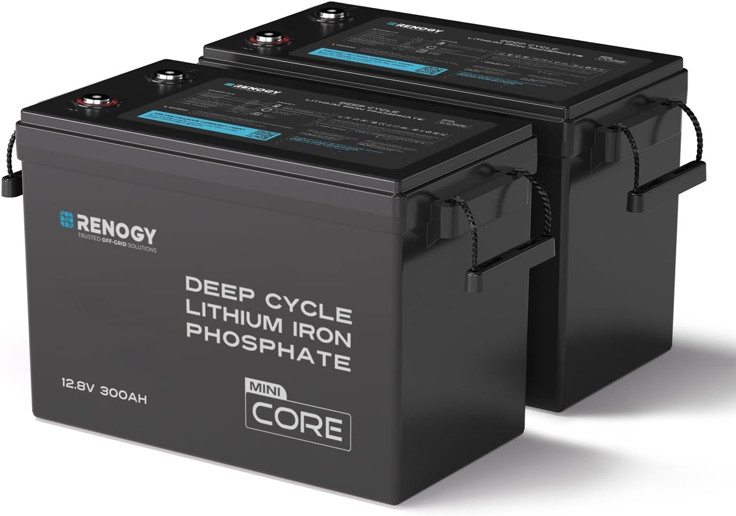 Renogy 300Ah LiFePO4 Lithium Battery, 12V Mini Size Deep Cycle Battery 2PCS | 200A 25+ BMS, 5000+ Deep Cycle Battery, IP65 Lightweight Mini Size for RV, Cabin, Marine, Home, Solar